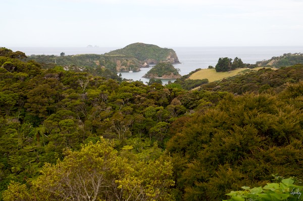 NewZealand 09 10  009